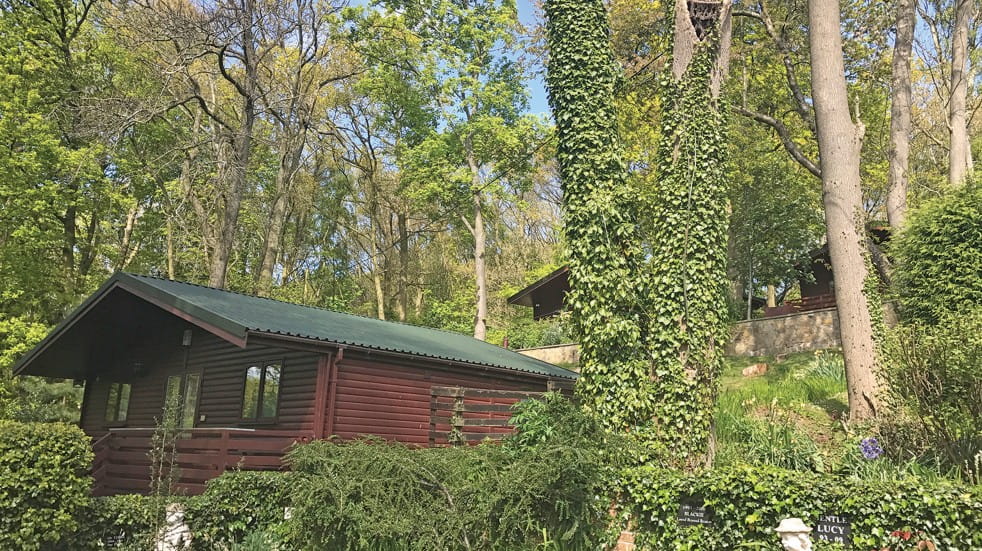 Hoseasons cabin in the woods